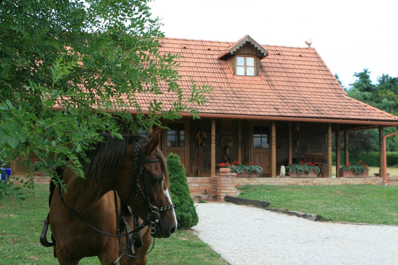 Old Oak House With Pool Vila Marusevec Exterior foto